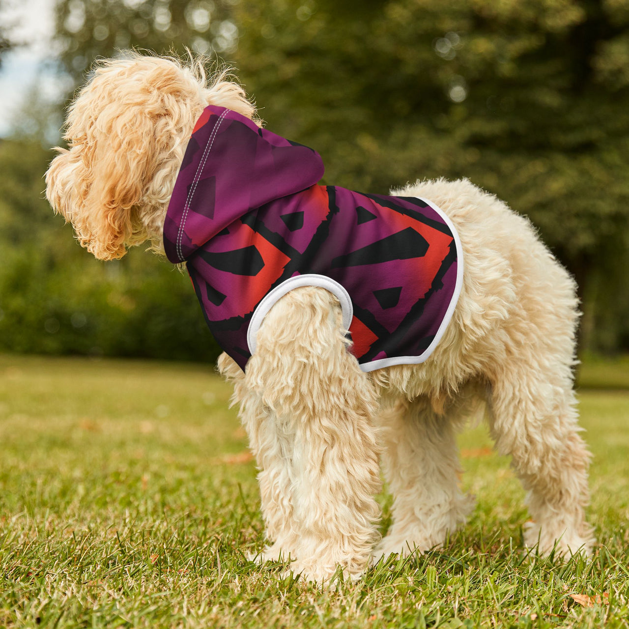 Arcane Paw-wer Dota Hoodie, Doggy