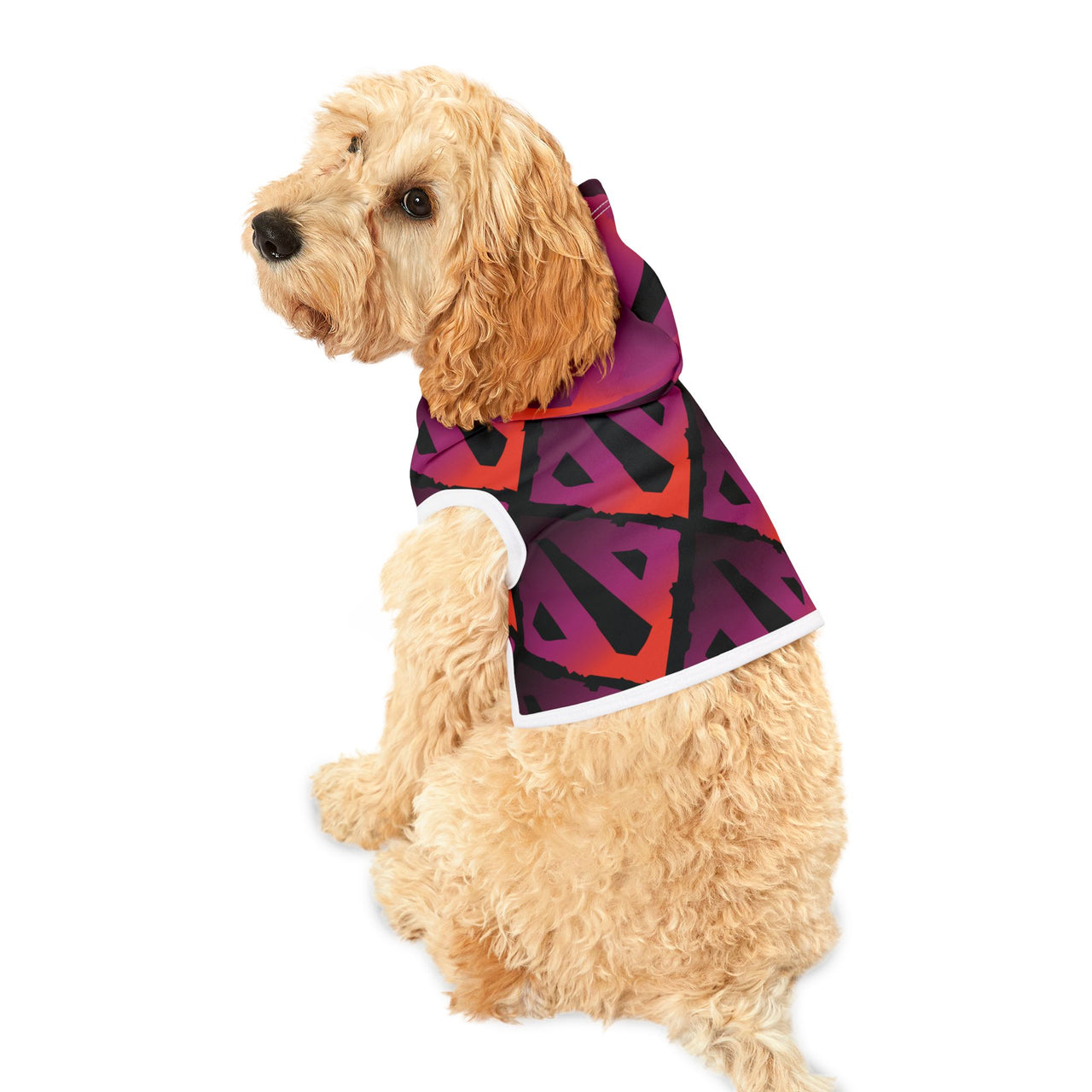 Arcane Paw-wer Dota Hoodie, Doggy