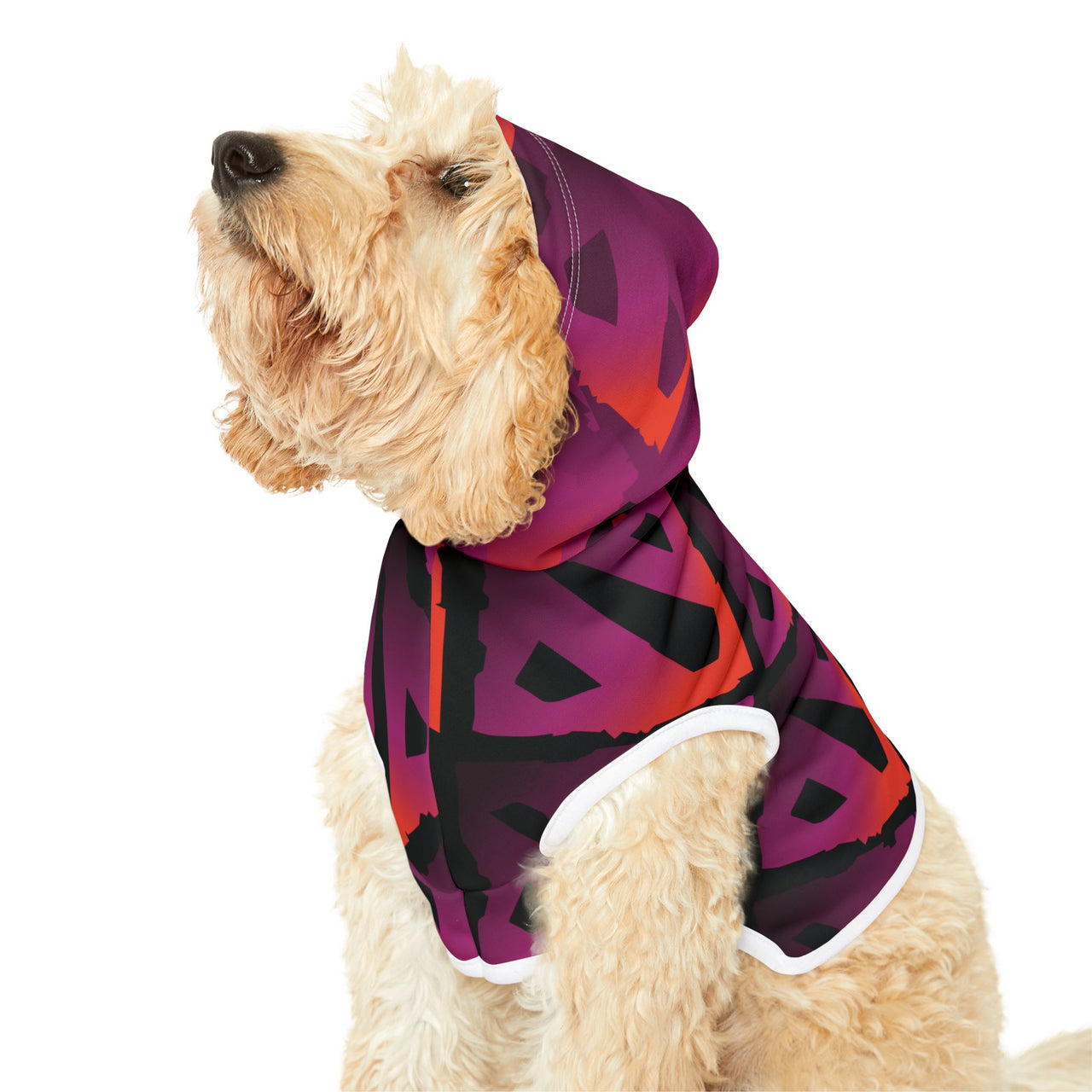 Arcane Paw-wer Dota Hoodie, Doggy