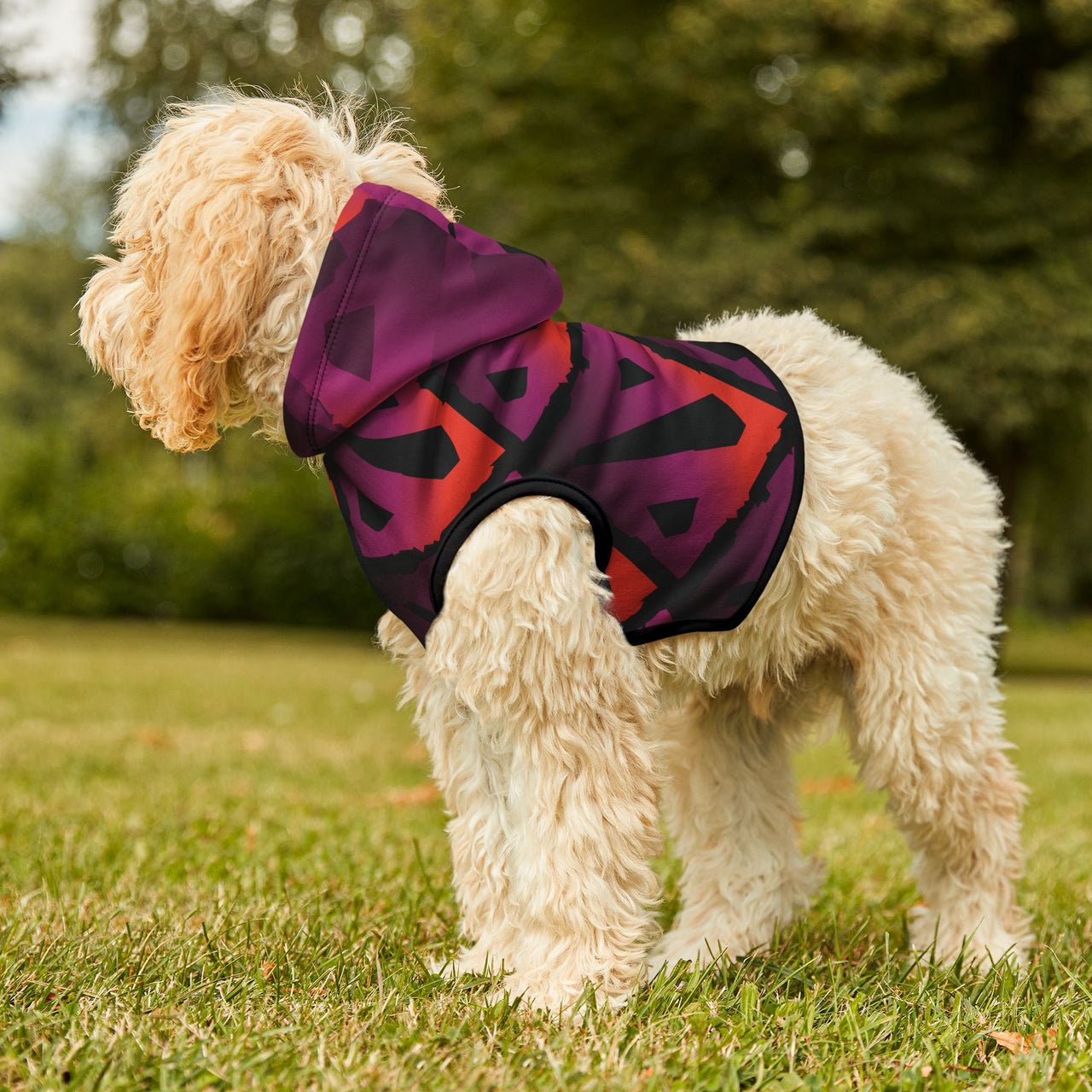 Arcane Paw-wer Dota Hoodie, Doggy