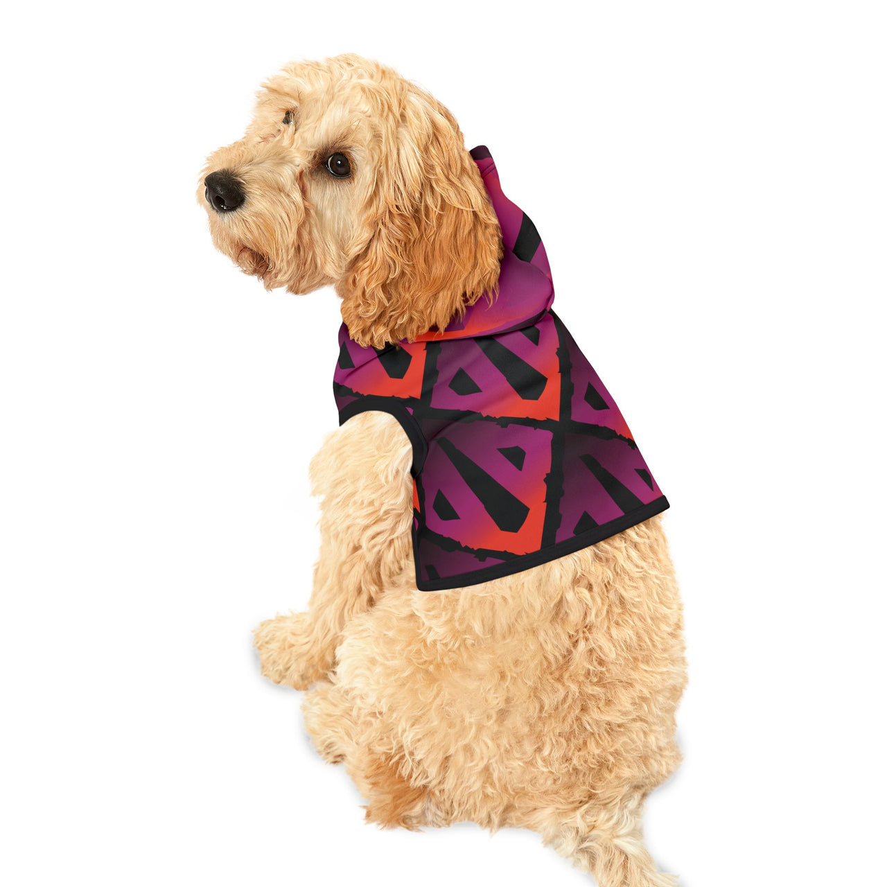 Arcane Paw-wer Dota Hoodie, Doggy